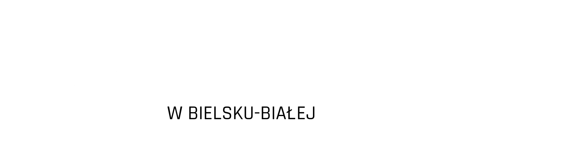 Szkolenie LVL 1 w Bielsku Białej